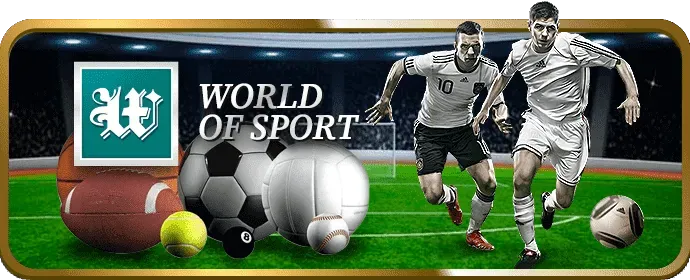Ứng dụng xem đá gà trên điện thoại tại 365 slot